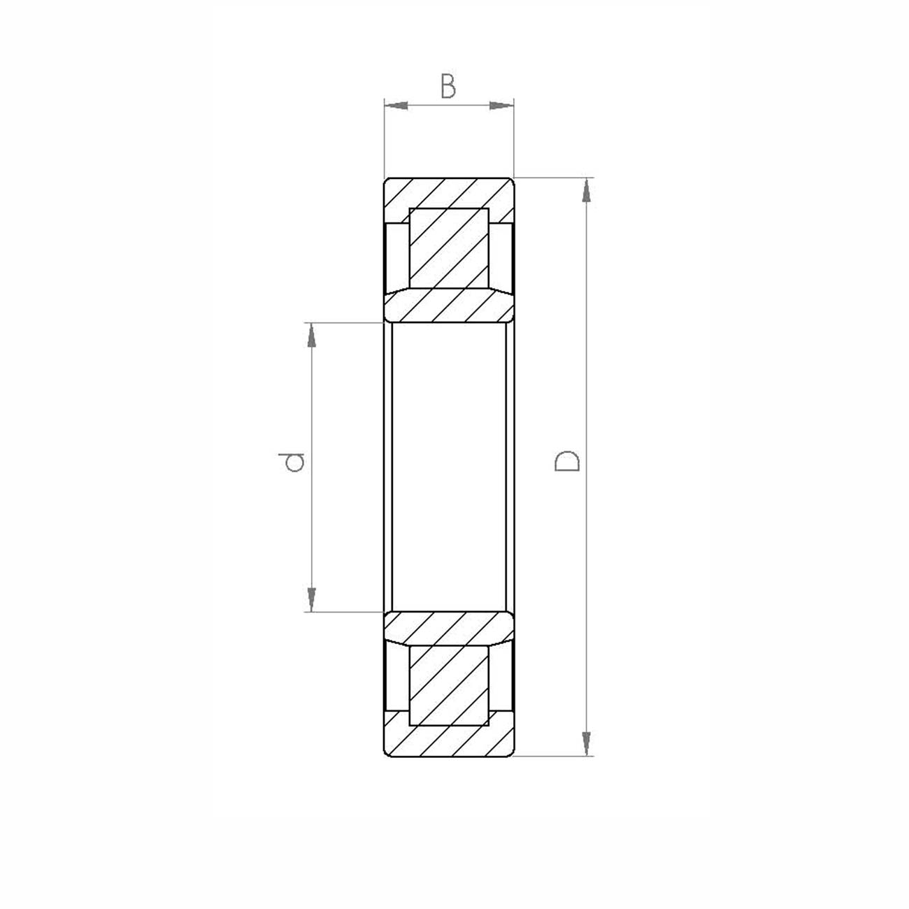 Xtreme 080 NU2216/M R.HCoat.BO