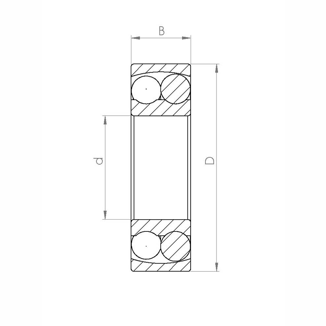 Corrotec 025 2205-2RS/CSB